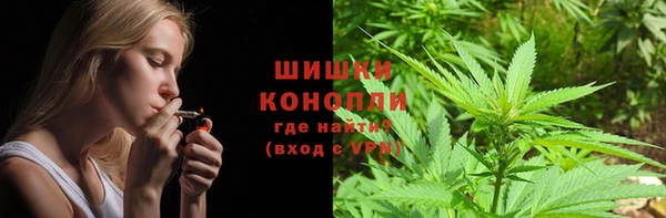 индика Гусиноозёрск