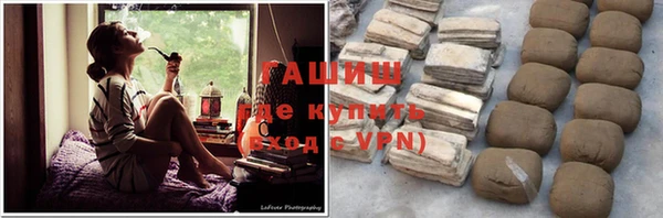 индика Гусиноозёрск