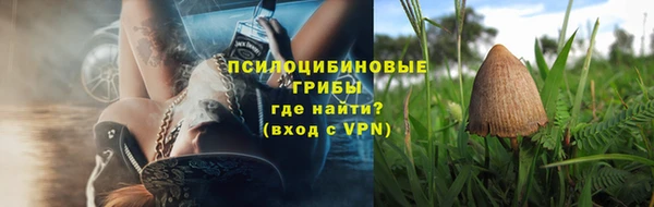 бутират Гусь-Хрустальный
