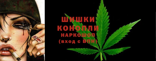 индика Гусиноозёрск