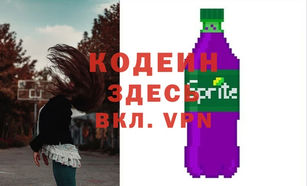 индика Гусиноозёрск