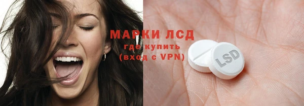 индика Гусиноозёрск