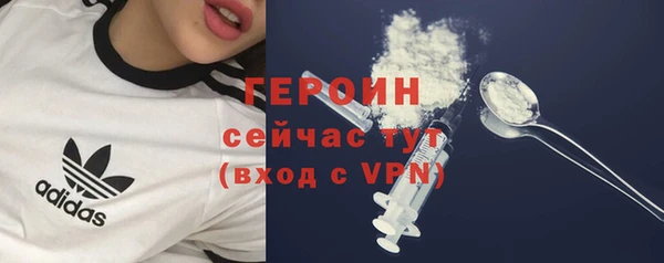 индика Гусиноозёрск