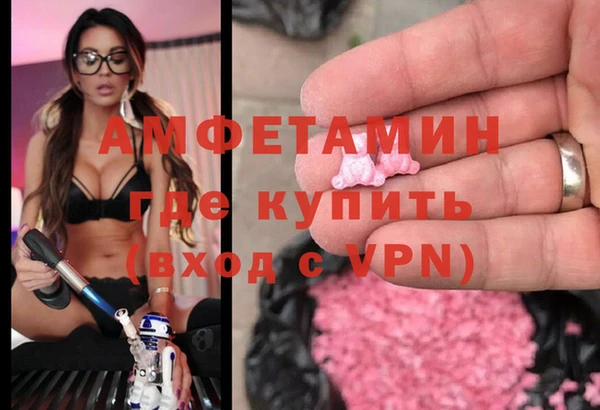 индика Гусиноозёрск