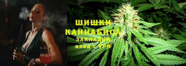 индика Гусиноозёрск