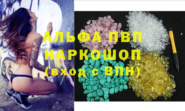индика Гусиноозёрск