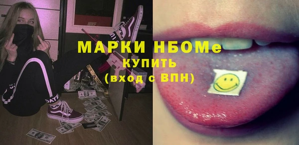 индика Гусиноозёрск