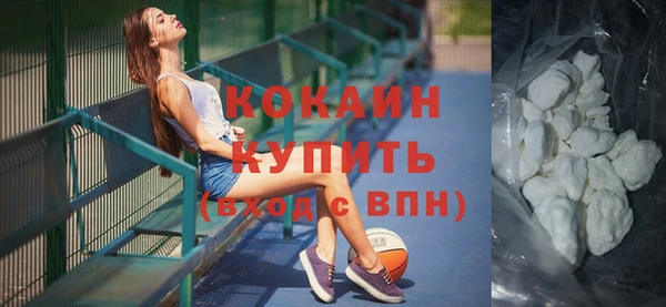 индика Гусиноозёрск